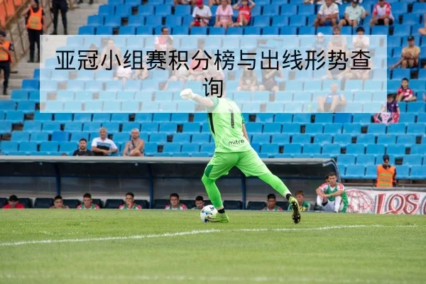 亚冠小组赛积分榜与出线形势查询