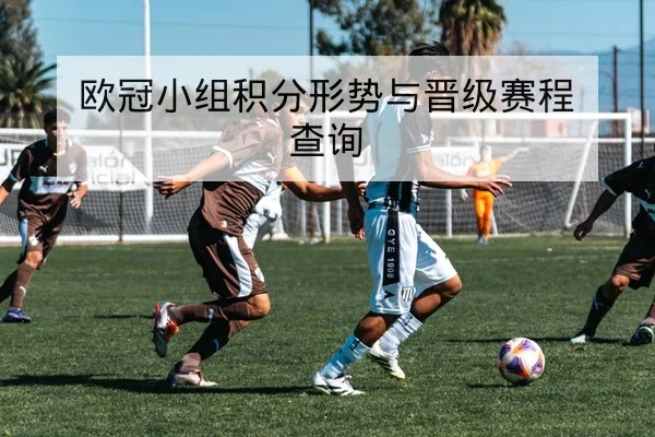 欧冠小组积分形势与晋级赛程查询