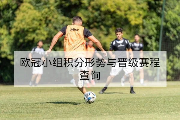 欧冠小组积分形势与晋级赛程查询