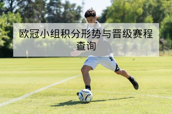 欧冠小组积分形势与晋级赛程查询