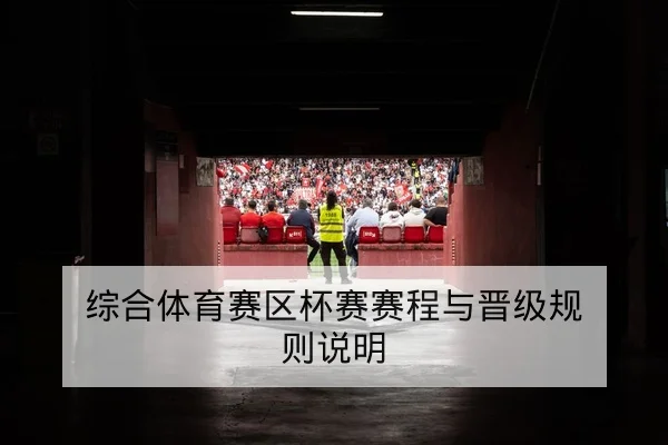 CBA季后赛球员轮换与关键篮板数据查询